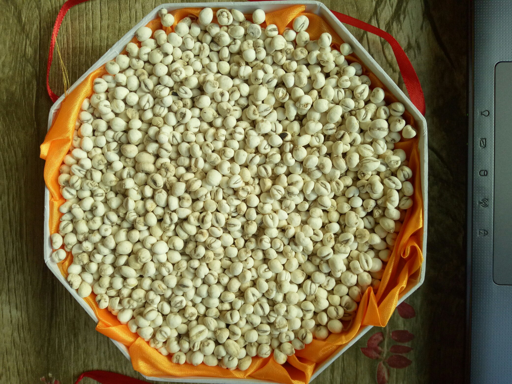 左侧为正品川贝母:数颗小型类白色鳞茎,呈‘怀中抱月’形态,表面光滑有环纹;右侧为常见伪品:较大颗粒、颜色偏深、外形规则无抱合特征;中间配有放大镜图标标注关键区别点,背景为中药柜台与检验台场景 川贝母真伪对比图示