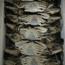 泡沫箱