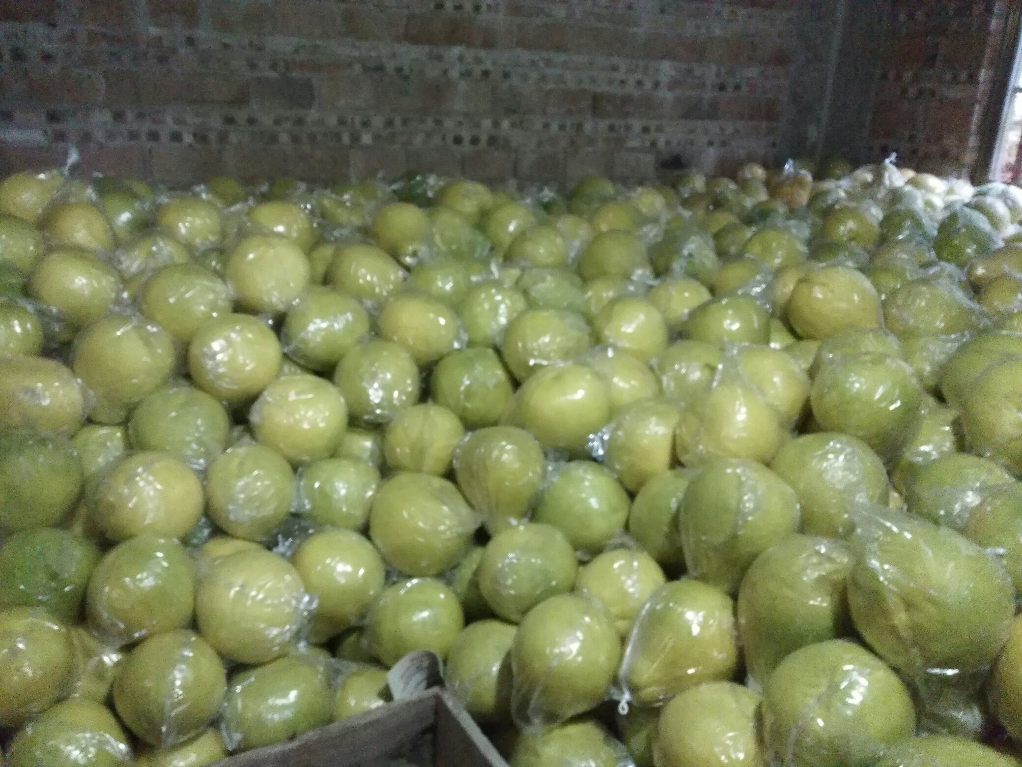 沙田柚存放方式示意图