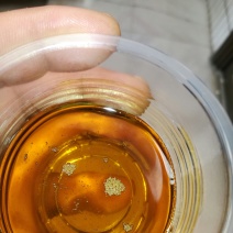 油菜籽