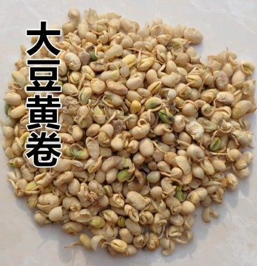 大豆黄卷大豆卷黄豆卷豆27中药