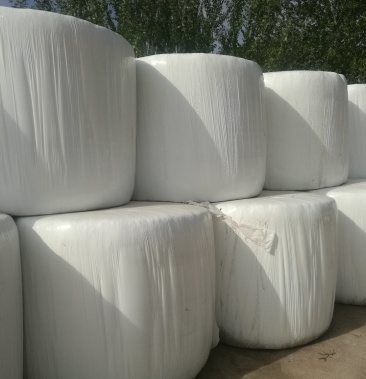 青贮苜蓿草青贮裹包苜蓿草发酵好的