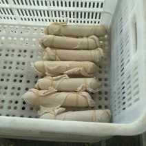 大量批发豆肠油皮豆皮豆制品