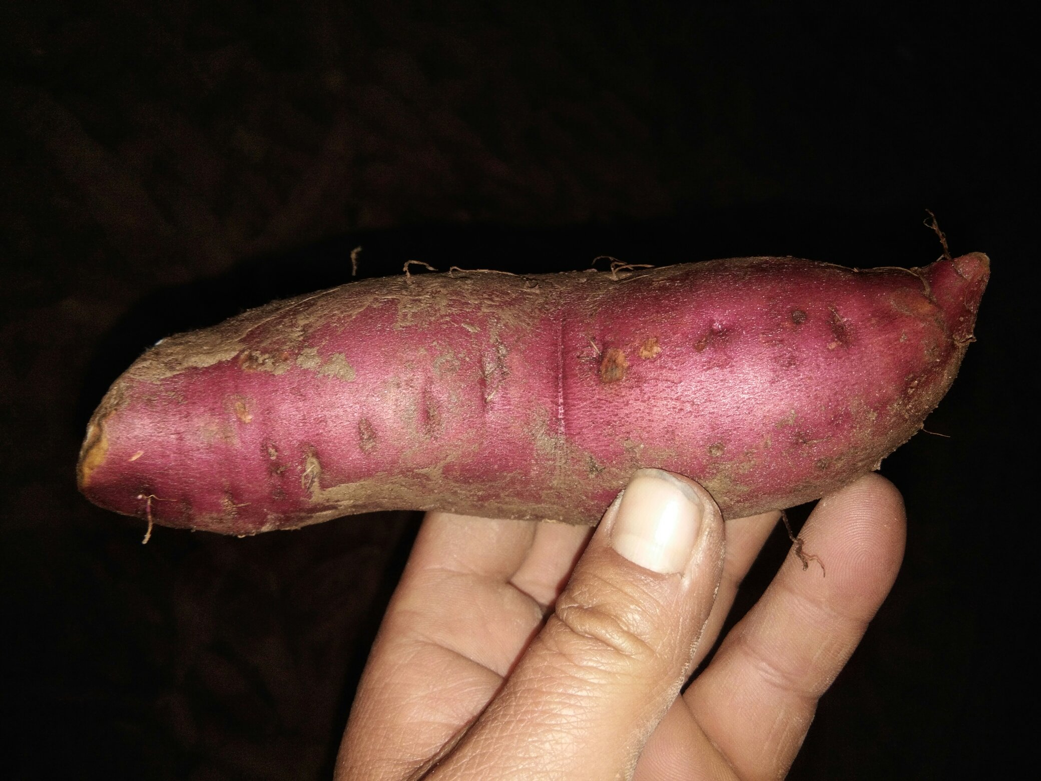 一位中年女性在超市生鲜区挑选紫薯，手拿两颗大小不同的紫薯对比，身旁购物车中有其他蔬菜，背景清晰可见“根茎类蔬菜”标识牌