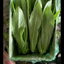 蔬菜