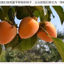 富平柿饼，自家柿饼，质量放心，