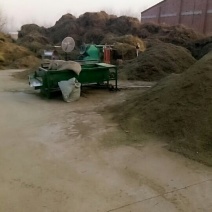 这是我公司加工柴胡秸秆，有要柴胡种子的和柴胡秸秆的联系我