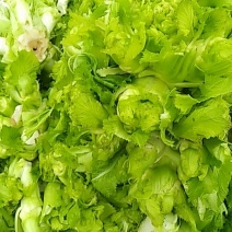 儿菜