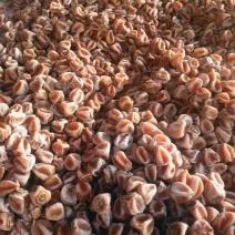 山东柿饼价格美丽欢迎选购