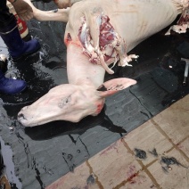 带皮驴肉
