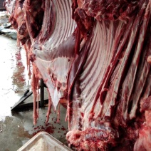 生鲜驴肉批发