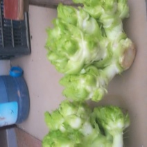 儿菜