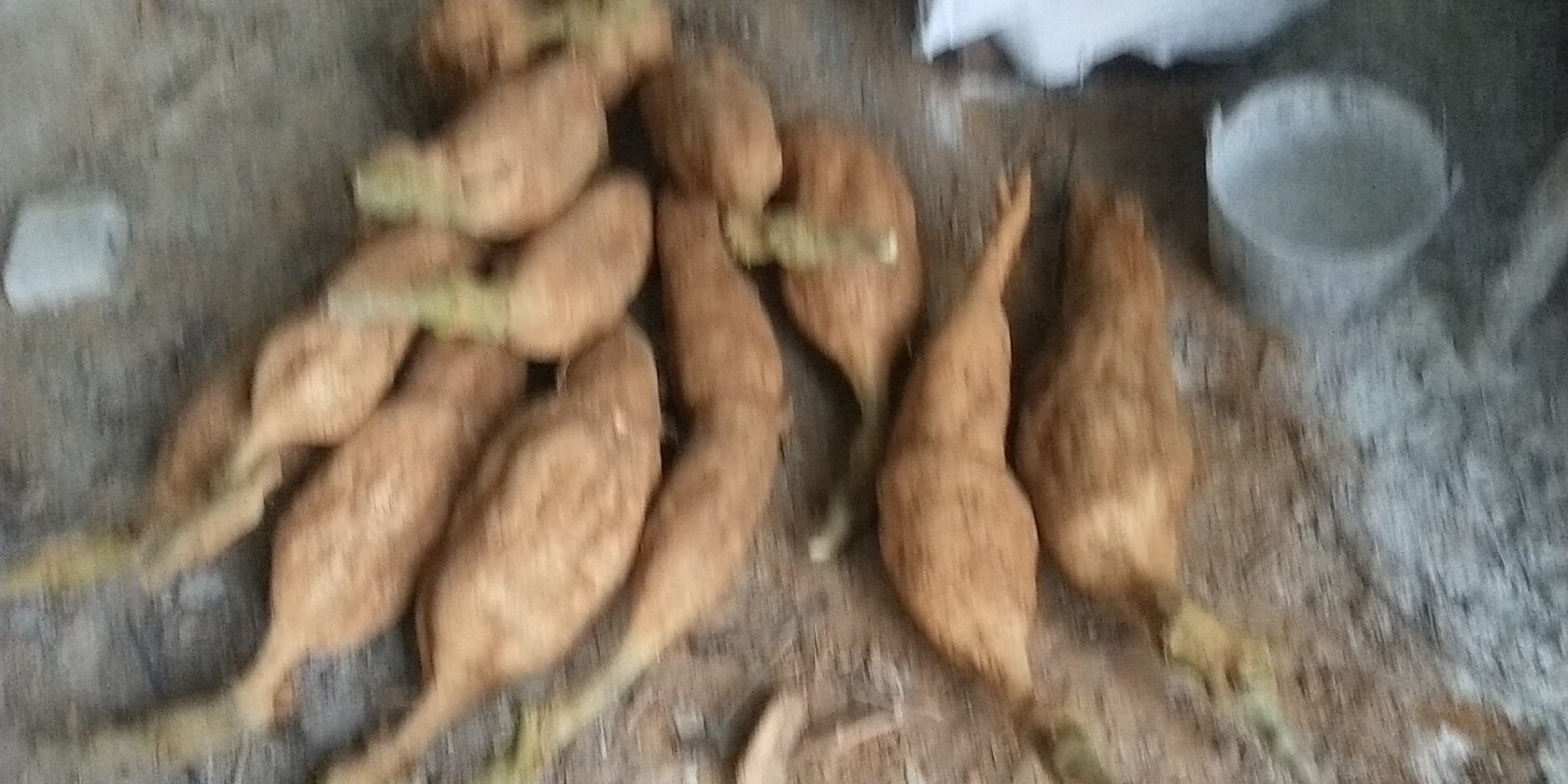 葛根与腌制蔬菜对比图