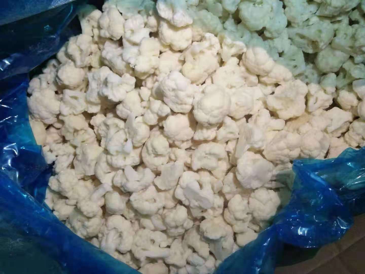 韭菜花冷冻处理流程示意图