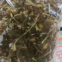 花菜干