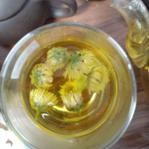 滨城区三河湖滨白菊19.8/50克