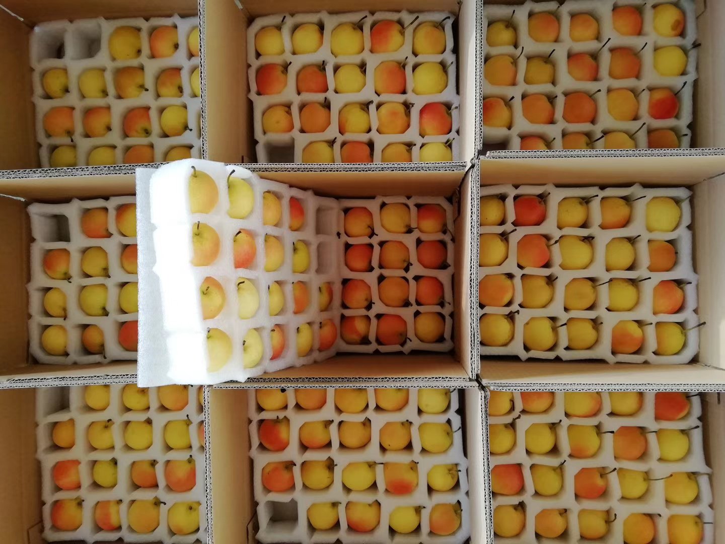 南果梨包装与销售