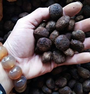 [油桐籽批发]油桐籽价格3.00元/斤 - 一亩田