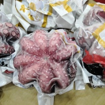 冻煮真章章鱼芥末章鱼原料大章鱼八爪鱼