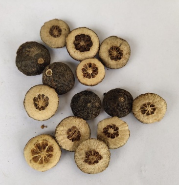 枳实正品江西鹅眼枳实关书药业批发中药材