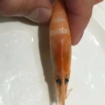 90/120北极虾