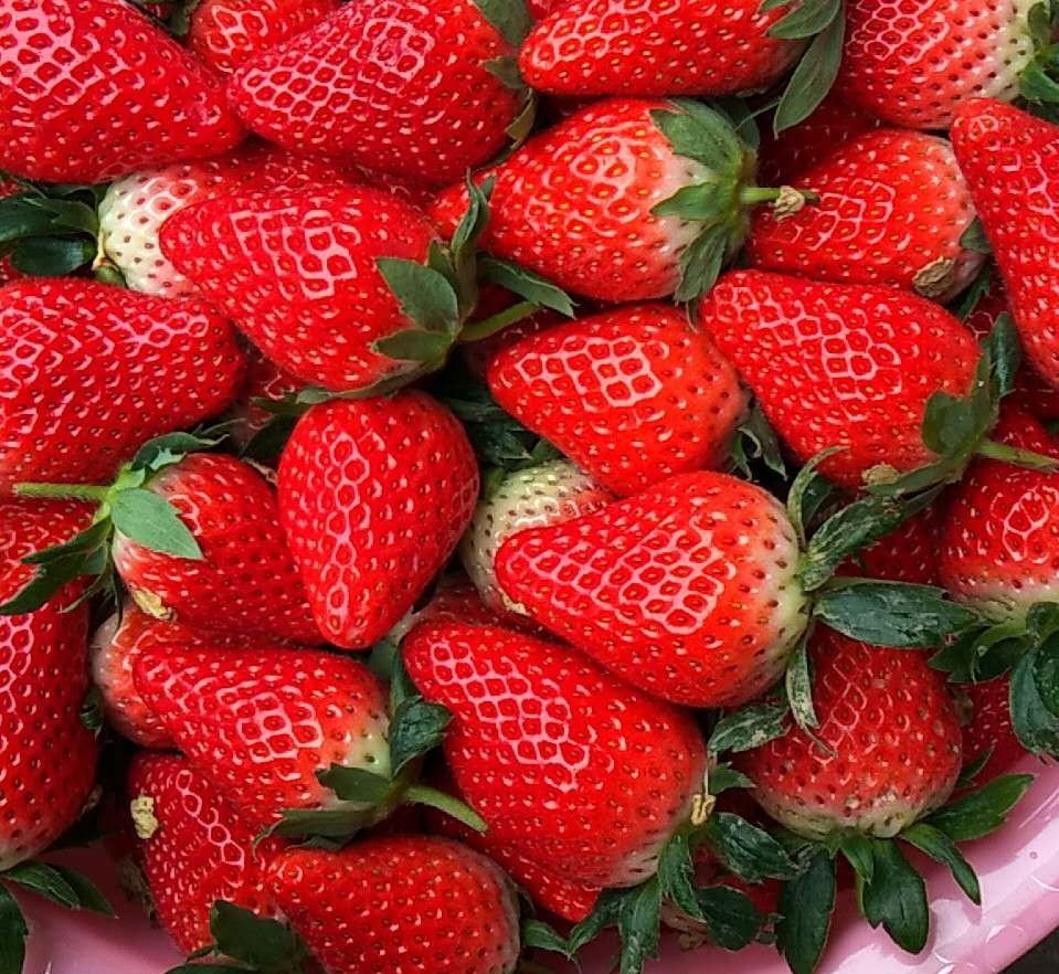 草莓果泥搅拌完成