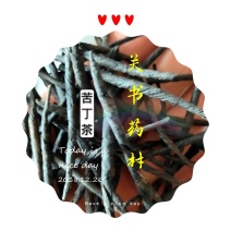 苦丁茶新货去火批发中药材