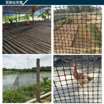 抗晒圈地塑料养殖网鸡鸭鹅脚踏网漏粪板菜园围栏网6-7年