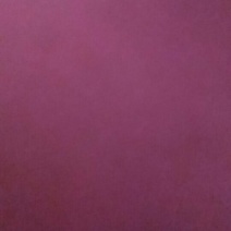 麸皮