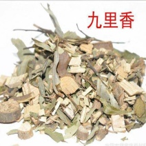 九里香九树香千只眼中药材