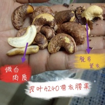 茂叶A240带皮腰果紫衣腰果10kg/桶2桶/箱