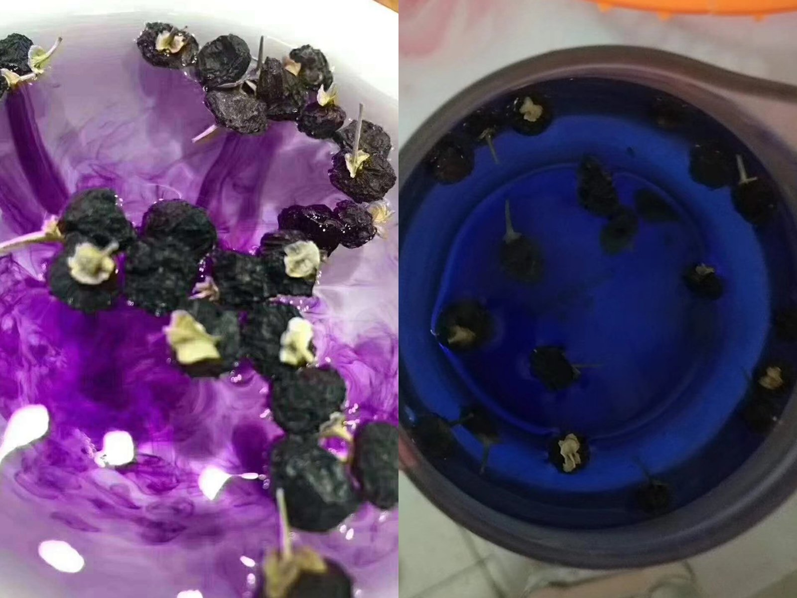 黑枸杞泡水呈现蓝色