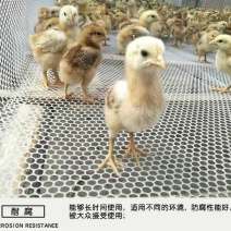 （包邮）漏粪网塑料养殖网育雏网养鸡鸭鹅网地网防坠网胶网