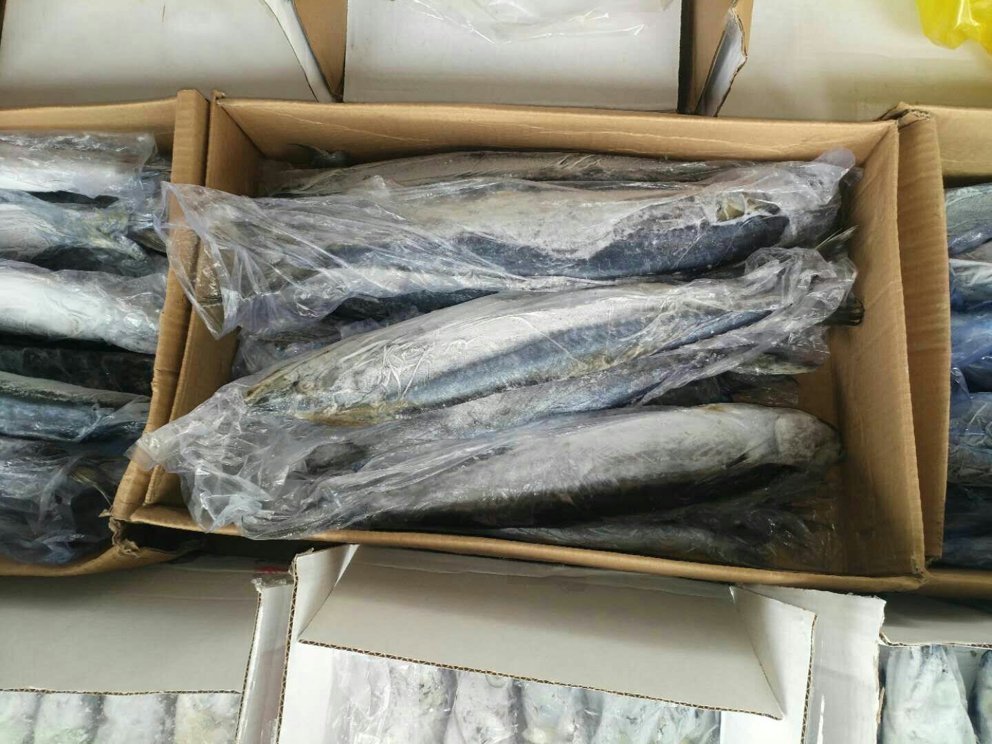 超市冷柜中陈列的冰鲜带鱼