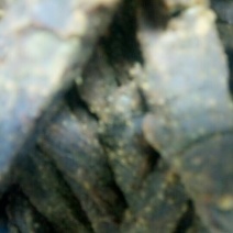 风干牛肉干好吃又新鲜,不加任何添加剂