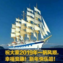 潮平两岸阔，风正一帆悬……