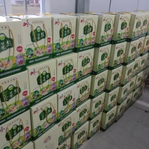 临泉长寿菜