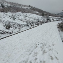 荒山120亩，免租金。