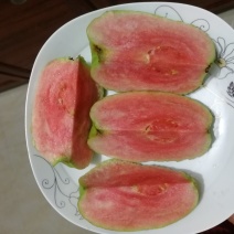 红宝石少籽芭乐，口感脆甜