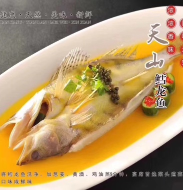 [龙鱼批发]天山雪龙鱼价格23.00元/尾 - 一亩田