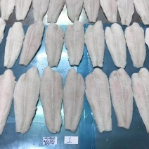 开背巴沙鱼