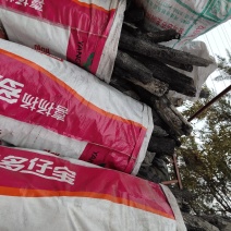 优质栗木炭