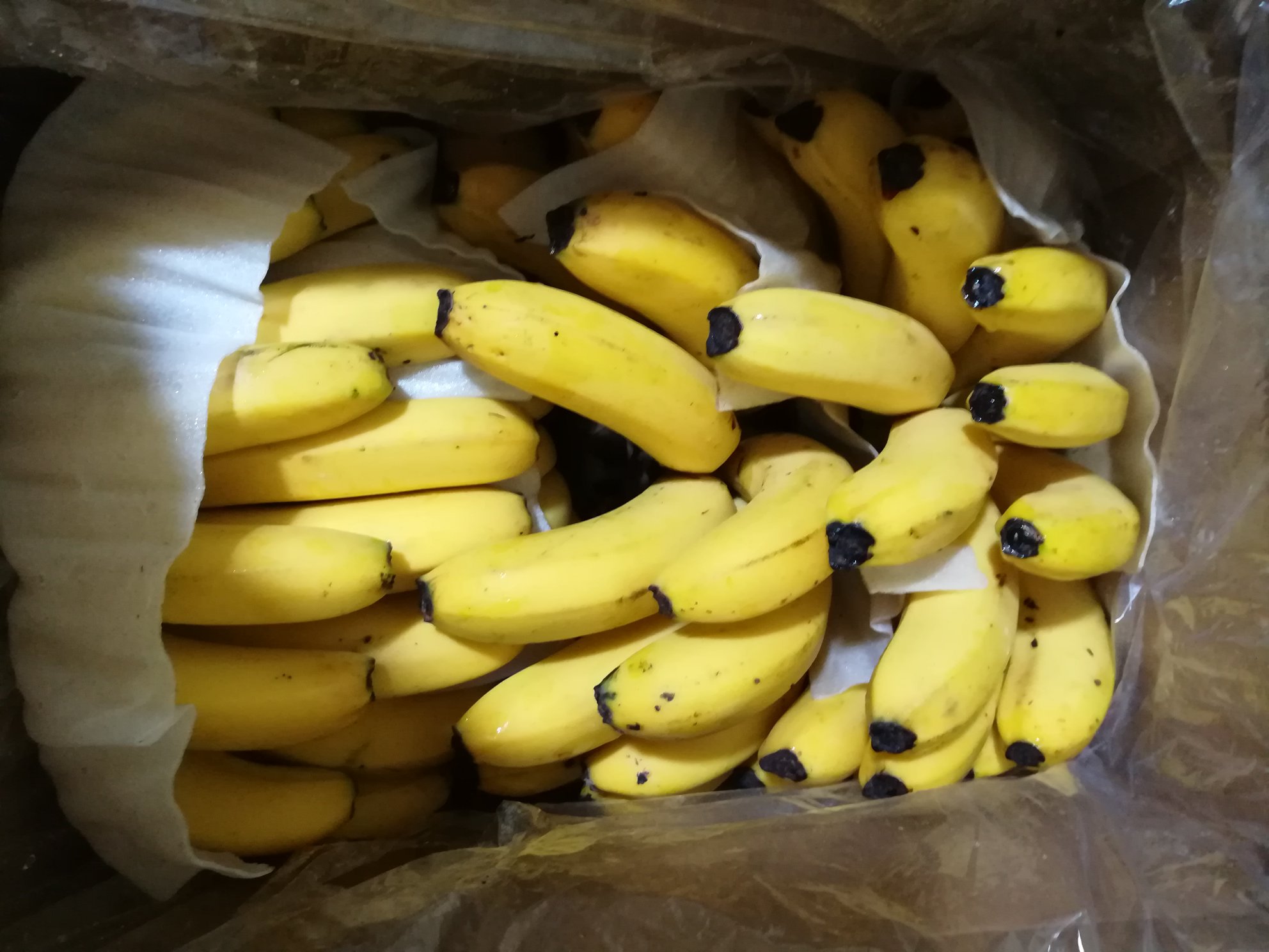 [巴西蕉批发]江苏徐州贾汪区香蕉 30.00元/件云南香蕉 ,一 _ 一亩田