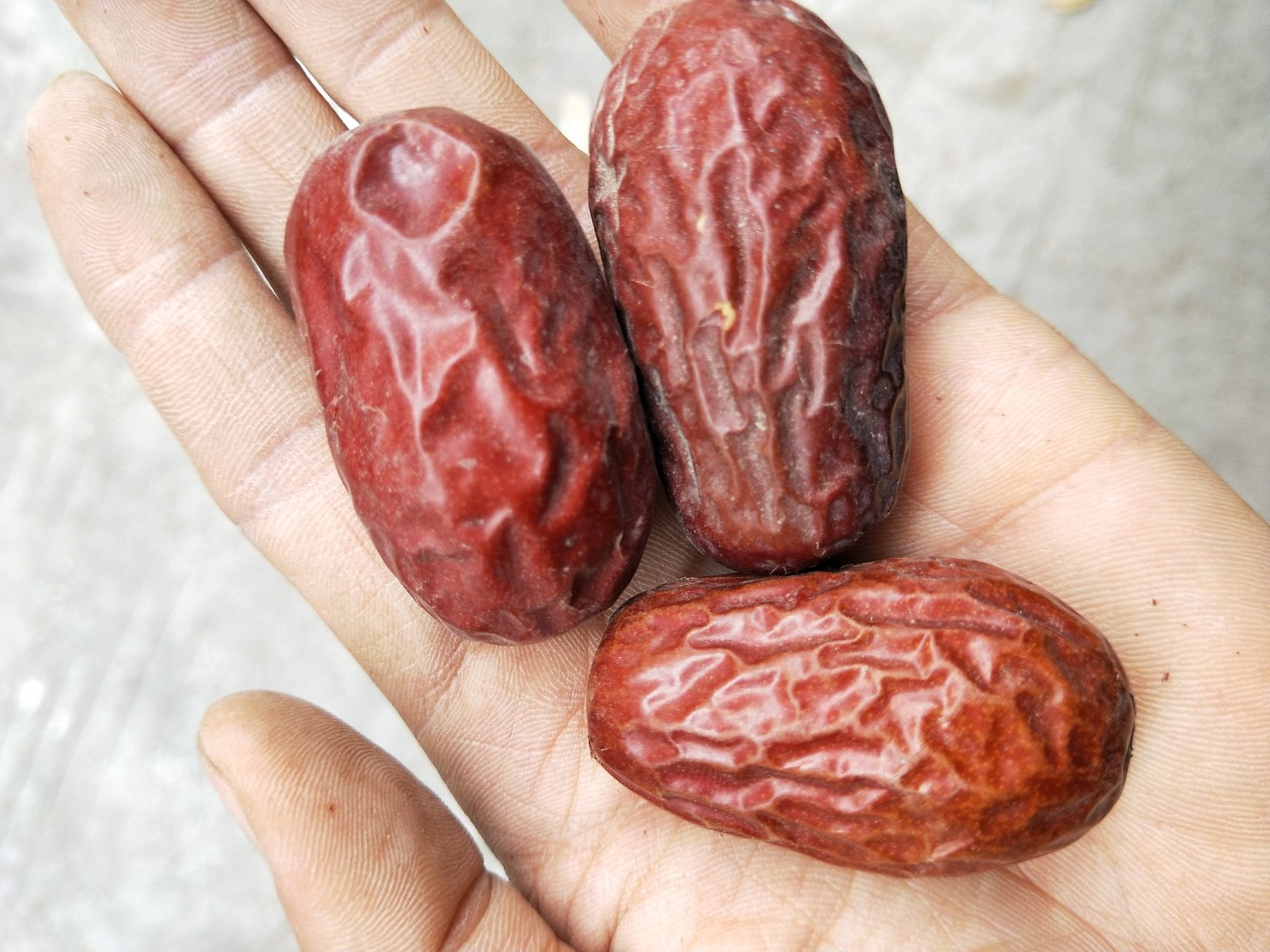 台湾枣果实特写,展示其饱满的果肉与细腻的果皮纹理 台湾枣果实特写