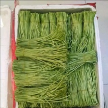 芦蒿即将大量上市