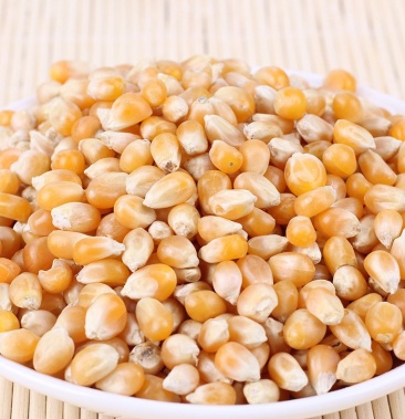 爆米花小玉米 列爆玉米 开花率高 有球形列爆玉米玉米各种