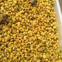 蜂蜜花粉蜂王浆批发