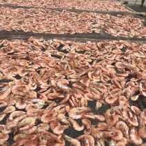 野生白刺海虾干
