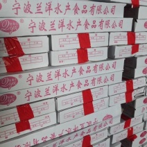 山东刀鱼