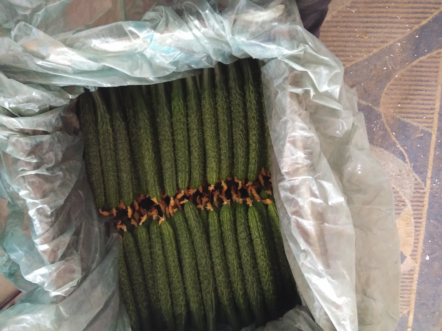 强雌旱黄瓜在超市货架上整齐摆放,包装精美,标签标注品种名称和产地信息 强雌旱黄瓜在超市货架上陈列整齐